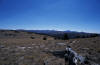 Tundra near Davis Peak