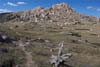 Granite outcrops